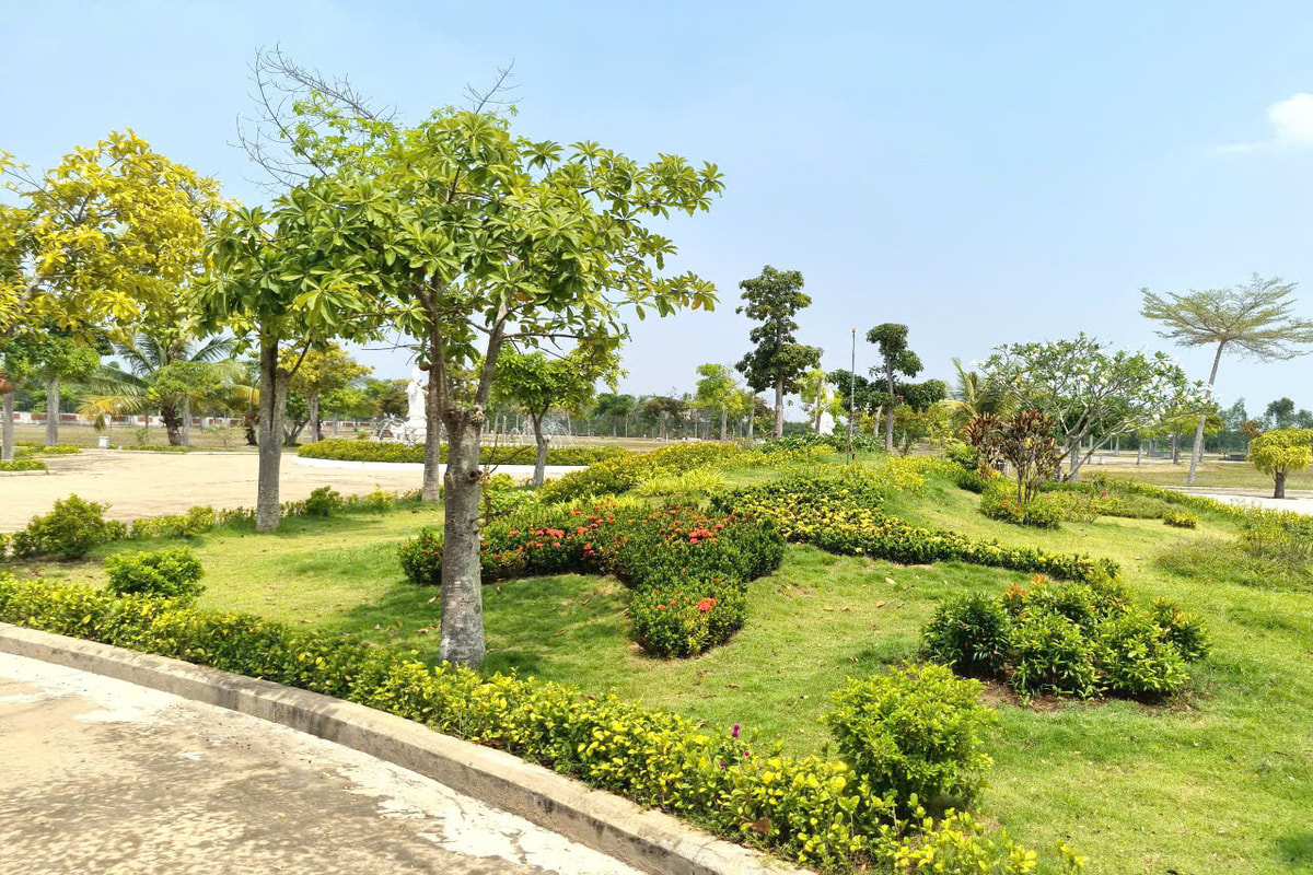 canh-quan- nghia-trang-bong-lai-vien
