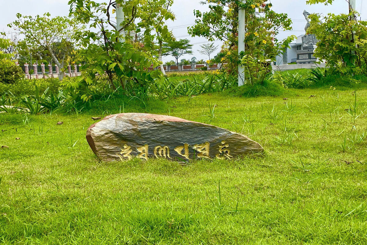 tay-phuong-cuc-lac