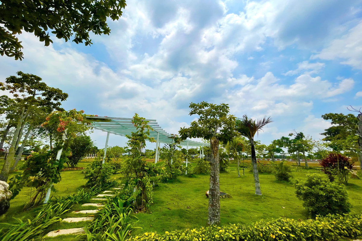 tay-phuong-cuc-lac