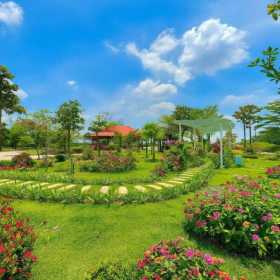 7+ Nghĩa trang giá tốt gần TP.HCM: Địa chỉ uy tín, giá hợp lý 2025 7+ Nghĩa trang giá tốt gần TP.HCM: Địa chỉ uy tín, giá hợp lý 2025